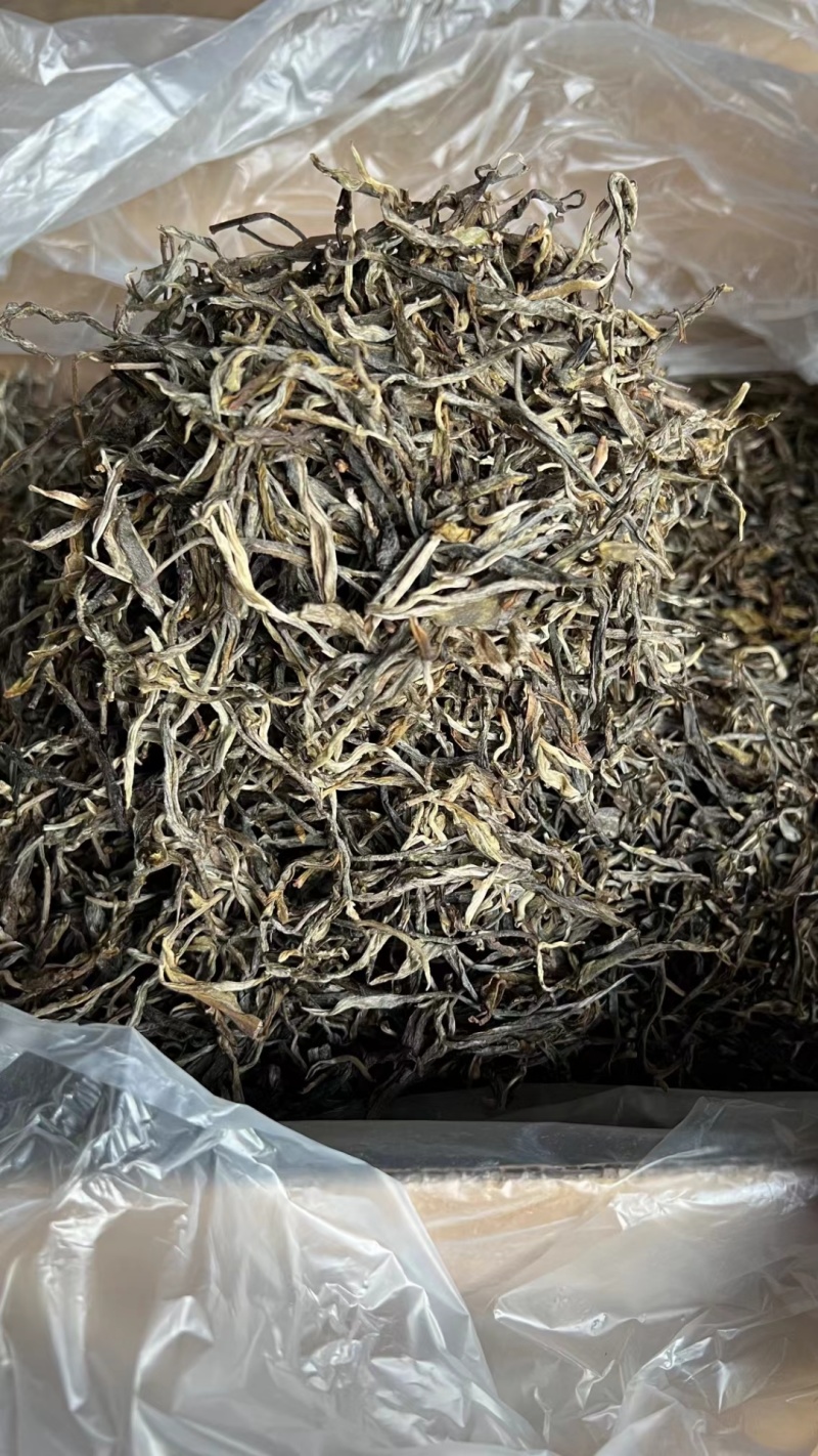 普洱茶批发：行业变化与趋势