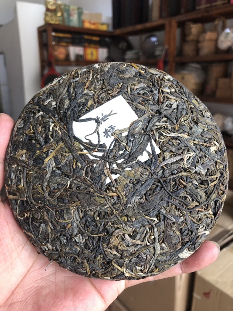 古树茶：绿色的瑰宝与生态之美